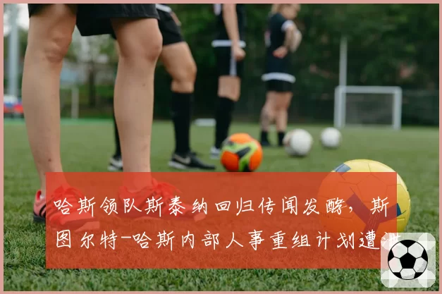 哈斯领队斯泰纳回归传闻发酵，斯图尔特-哈斯内部人事重组计划遭泄露