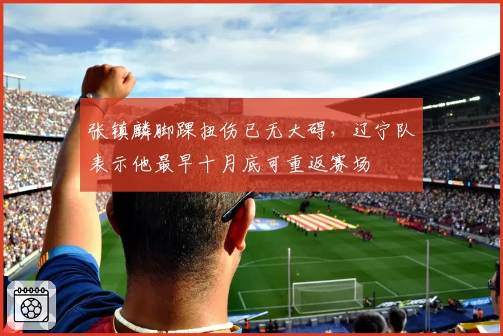 张镇麟脚踝扭伤已无大碍，辽宁队表示他最早十月底可重返赛场