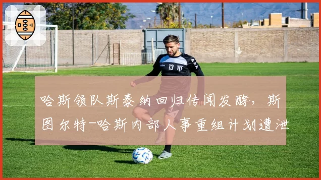 哈斯领队斯泰纳回归传闻发酵，斯图尔特-哈斯内部人事重组计划遭泄露
