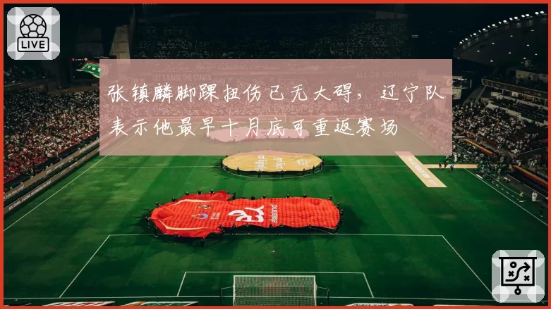 张镇麟脚踝扭伤已无大碍，辽宁队表示他最早十月底可重返赛场